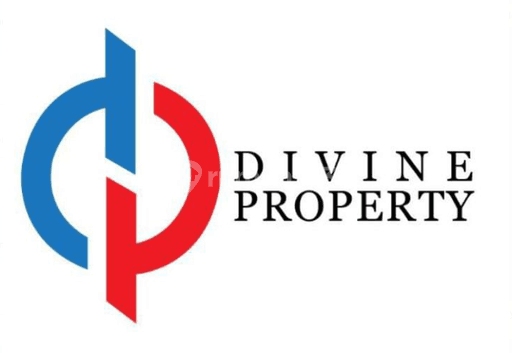 Divine Pro