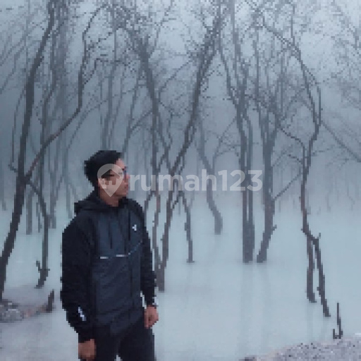 Syaiful Anwar 