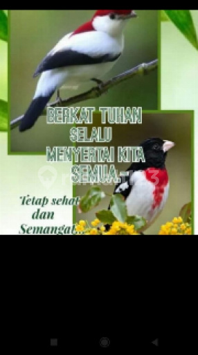 LIM ITO 