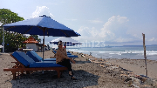 Ni Ketut Pitri Juliani 