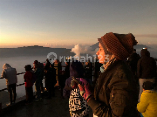 Friezky Zarfira Yahya