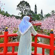 Eny Ulfa 