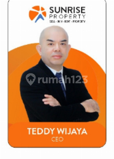 Teddy 