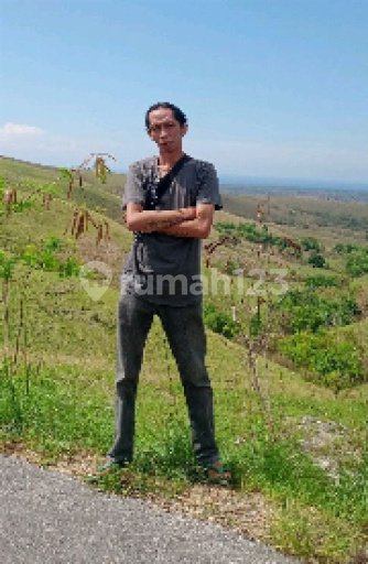 BUDI TRIYANTO GUNAWAN  