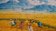 Johanes Lias