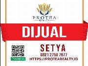 Setya Protea