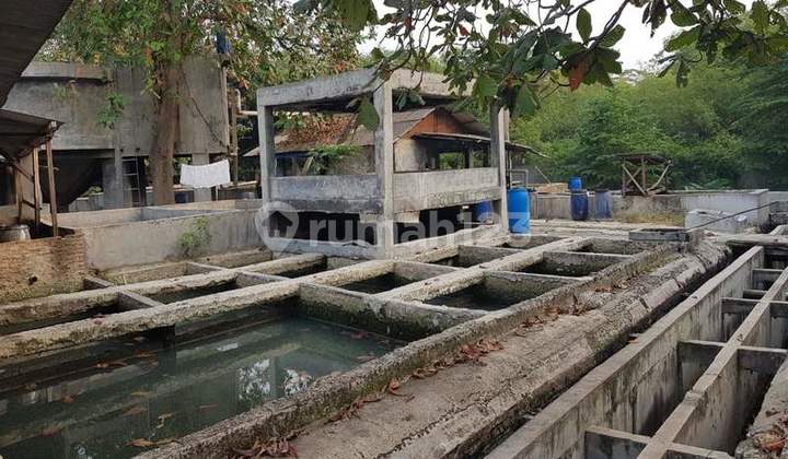  Pabrik Siap Pakai, Masuk Container di Cikande, Serang , Ga0892cs 4
