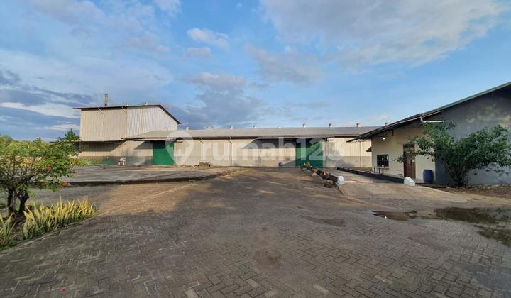 Ruang Usaha di Poros Limbung 1
