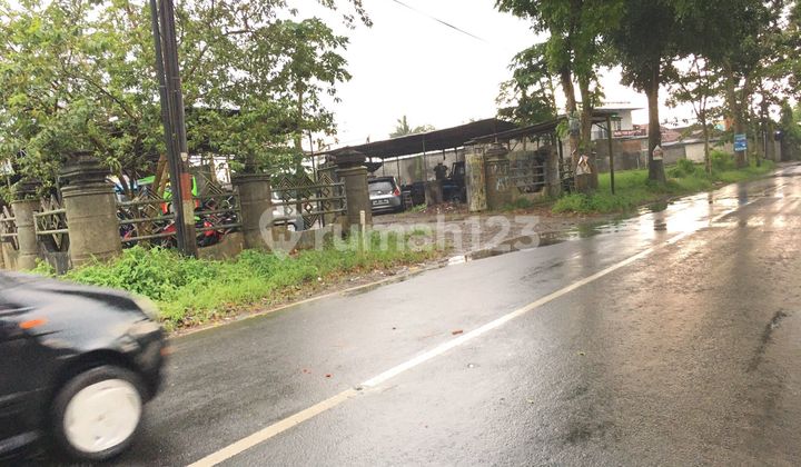 Tanah dan Bangunan untuk usaha seluas 1804 jalan Mayor Unus, jokopranan, Jogonegoro, mertoyudan Magelang 8