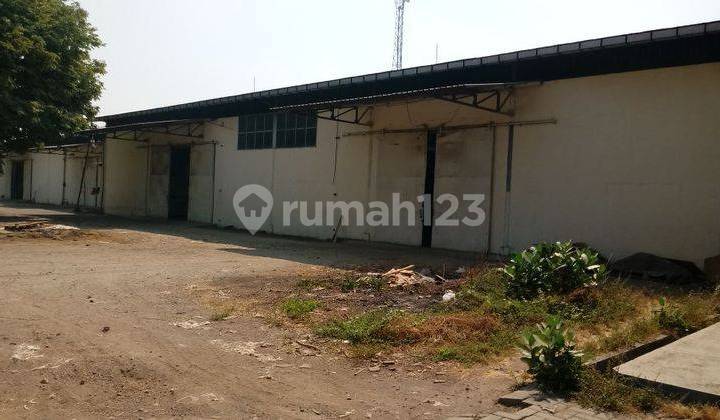 Gudang di Jl raya pandaan gempol Surabaya malang 17645 m SHM  10