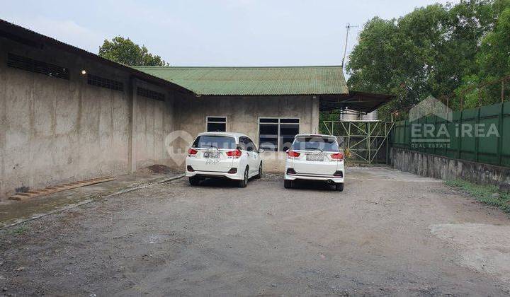 Ruang Usaha Peternakan Ayam Murah Meriah Solo  10