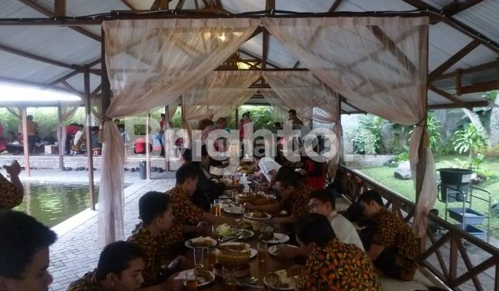 DIBAWAH HARGA PASAR, KOLAM PANCING DAN RUMAH MAKAN DI PRIGEN PASURUAN, 1 JALAN MENUJU TAMAN SAFARI PRIGEN PASURUAN, VIEW SAWAH DAN GUNUNG 7