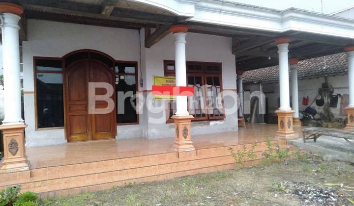 RUMAH CANTIK DAN ASRI DI TEMUWULAN PERAK JOMBANG 7
