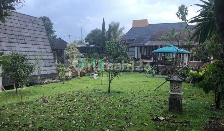 Villa Luas 3000m2 Siap Huni Dan Terawat Dkt Taman Bunga Nusantara 8