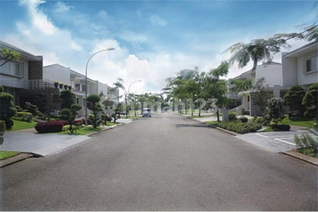 BISA CICIL LOKASI DI CBD 3 LANTAI SUTERA WINONA ALAM SUTERA  2
