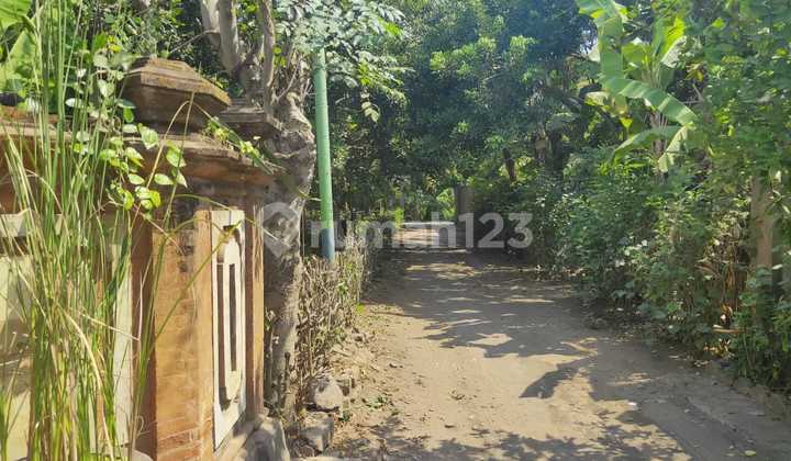 T12-Rumah type Bali di Temukus / Balinese Cozy House in Temukus 23