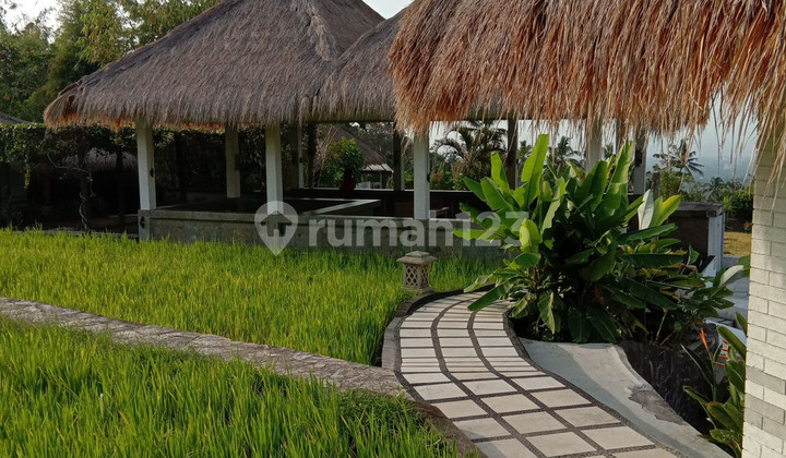 VILLA FOR SALE WITH OCEAN AND RICE FIELD VIEW 9