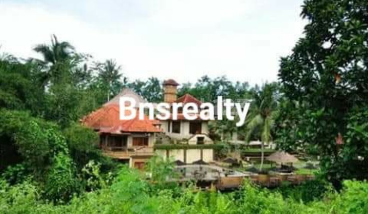 Villa Lokasi Pejeng 6
