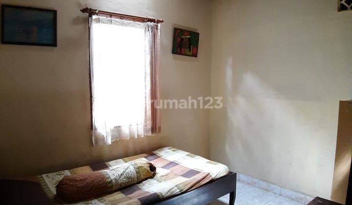 House For Rent in Lovina! 9