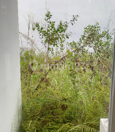 Rumah Perumahan Citraland Botanical City Cluster: Red Rosemary 8