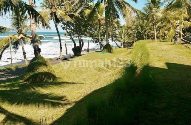 Luxurious beach front wooden villa , about 2 hours drive from Kuta at pekutatan negara 4