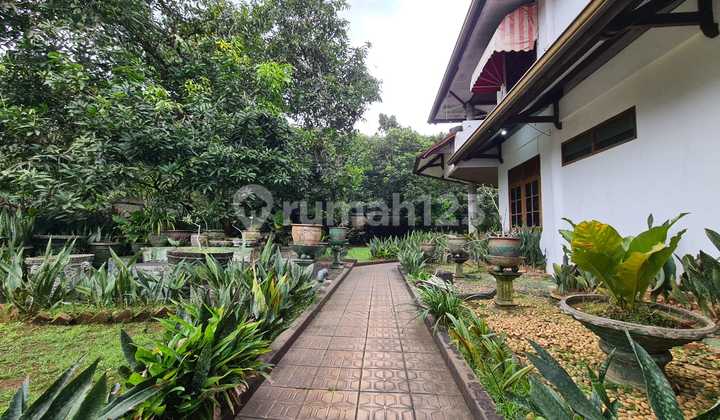Rumah dengan Kolam Renang Dijual di Ragunan, Jakarta Selatan | Terbaru 2023