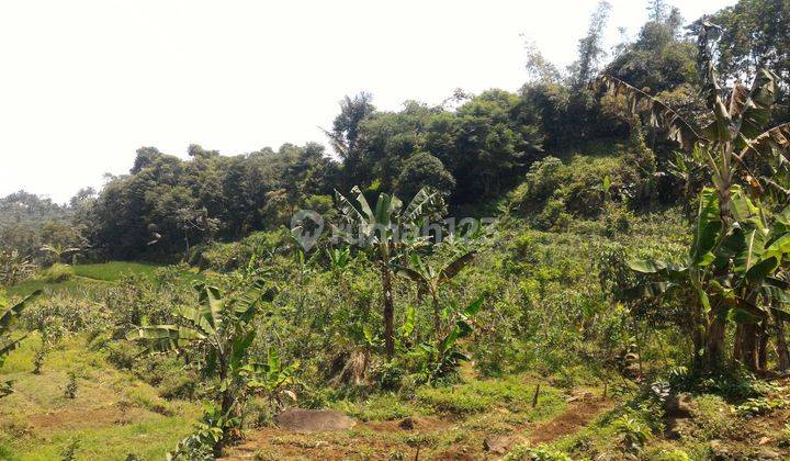 Tanah Subur Dan Indah Jalur Wisata Ada Ait Terjun  6