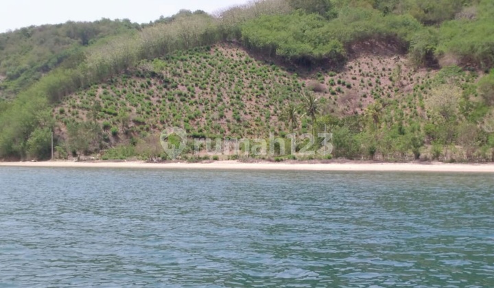 Lahan Murah Los Pantai Pasir Putih Harga Nego 1