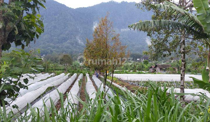 Tanah pinggir jalan utama cocok untuk hotel dan restaurant 3