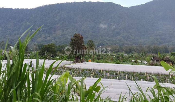 Tanah pinggir jalan utama cocok untuk hotel dan restaurant 4