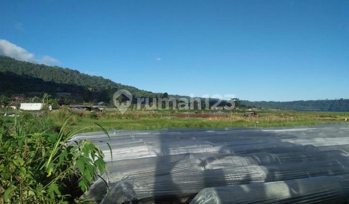 tanah kebun di jalan utama Bedugul Bali 2