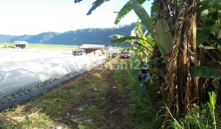 tanah kebun di jalan utama Bedugul Bali 4