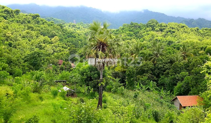 BEST DEAL!! Beautiful land riverfront and 360 views in Tukad sumaga 17