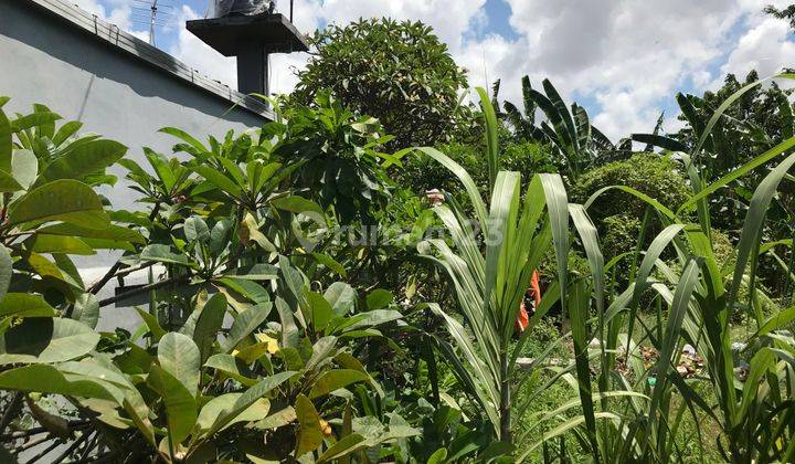 Tanah Bagus Dan Strategis Di Padangsambian Denpasar 5