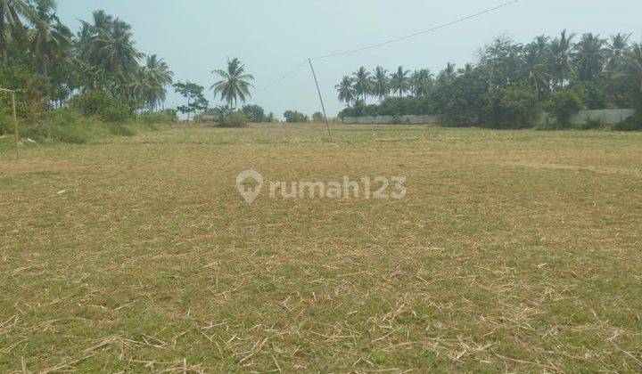 Tanah Cocok Resort Jalan Raya Labuan Panimbang Serang 2