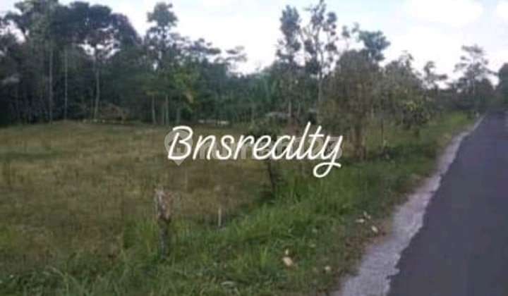 Tanah Lokasi Abuan Kintamani Bangli 1