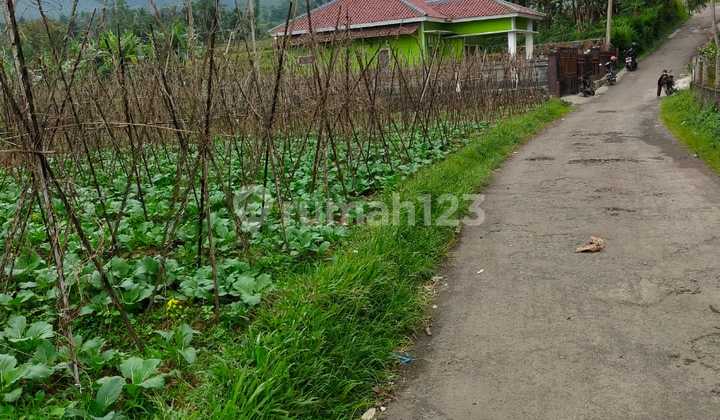 Tanah dijual 3