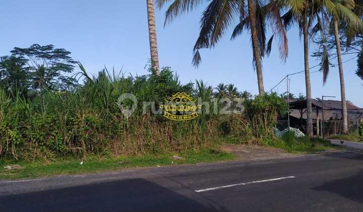 Tanah Jual Lokasi Sangeh 1
