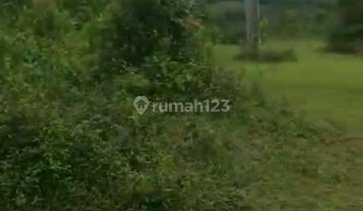 DI JUAL  TANAH MURAH VIEW GUNUNG DI CIRINTEN LEBAK BANTEN  2