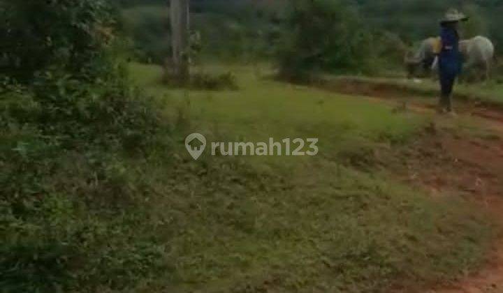 DI JUAL  TANAH MURAH VIEW GUNUNG DI CIRINTEN LEBAK BANTEN  1