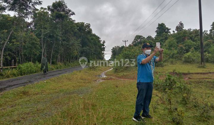 DI JUAL  TANAH MURAH VIEW GUNUNG DI CIRINTEN LEBAK BANTEN  8