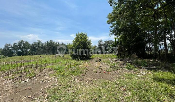 TANAH UTK INDUSTRI KEMA.SULAWESI UTARA 8