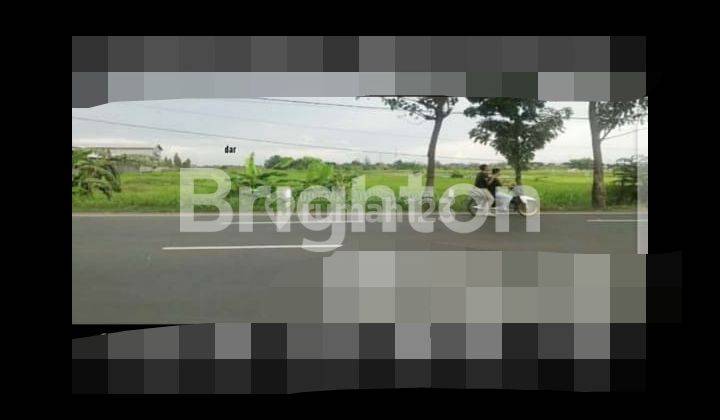 Jual Tanah di Grati Pasuruan Harga per Meter Terbaru Jual Tanah di Grati Pasuruan Harga per Meter Terbaru