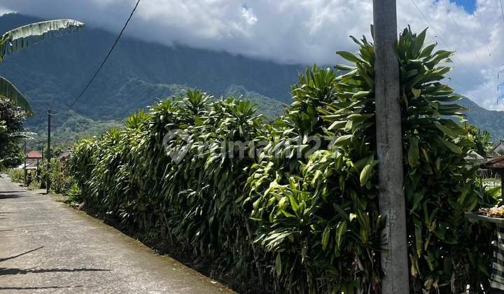 Tanah di Bedugul - Pancasari Buleleng  11