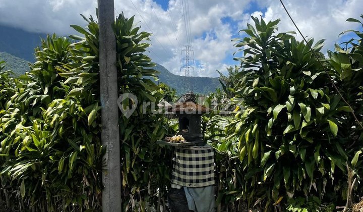 Tanah di Bedugul - Pancasari Buleleng  14