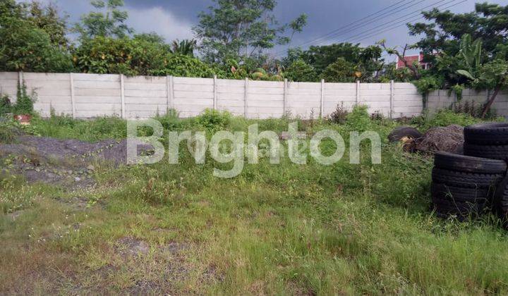 Jual Tanah di Grati Pasuruan Harga per Meter Terbaru Jual Tanah di Grati Pasuruan Harga per Meter Terbaru