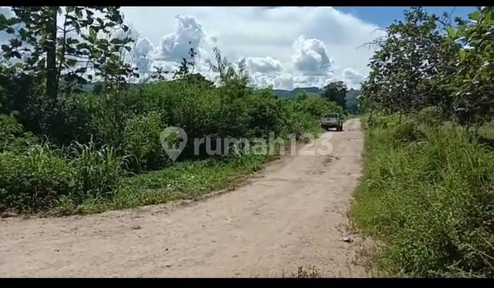  5075sy Tanah koya Kosso Muara Tami Jayapura, Papua Jayapura 3