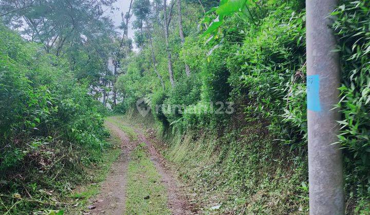 Jual tanah 76 are lokasi Sukasada Buleleng  1