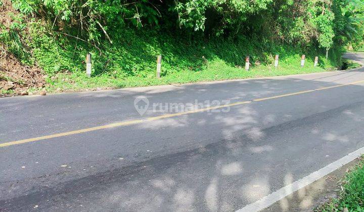 Jual tanah 76 are lokasi Sukasada Buleleng  3