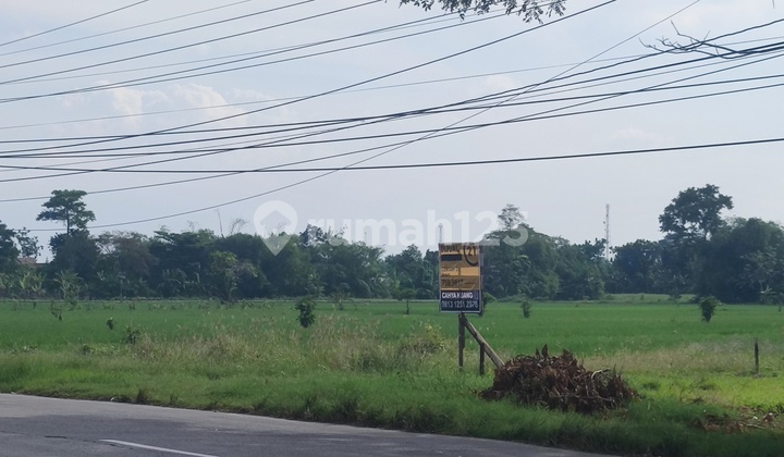 DIJUAL TANAH LUAS DI PINGGIR JALAN RAYA SEMARANG PURWODADI, JAWA TENGAH (KOTA GUBUG, GROBOGAN) 1